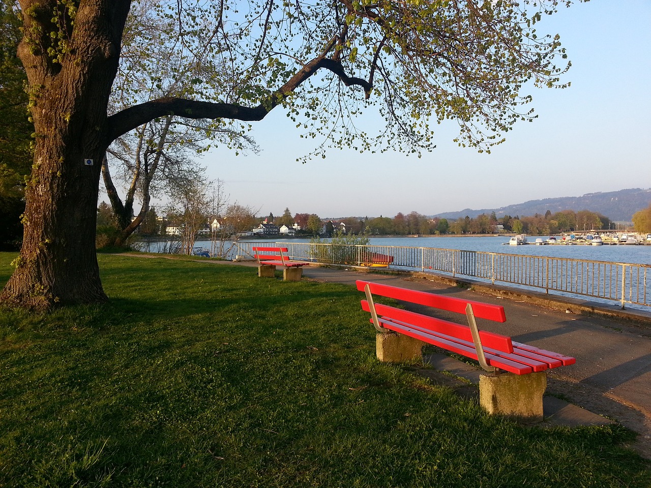 巴萨是否可 巴萨是否可