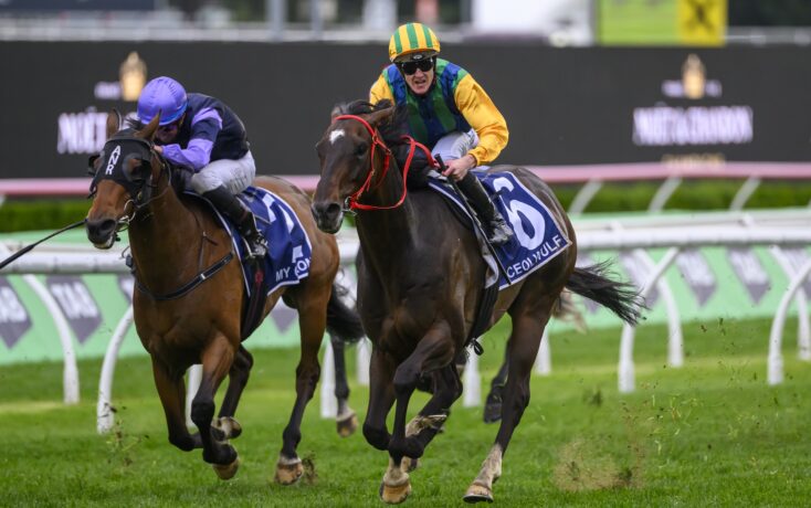 爱足球的人 爱足球的人